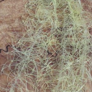 Swisher's Wiggly Hackle